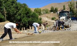 Ağrı'da Karlıca ve Bozkaş köy yollarında çalışmalar tamamlandı