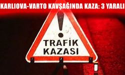 Muşlular Bingöl’de kaza yaptı: 3 yaralı