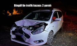 Bingöl'de trafik kazası: 2 yaralı