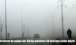 Erzincan'da yoğun sis: Görüş mesafesi 30 metreye kadar düştü