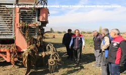 Erzincan’da şeker pancarı üretimi yılda yaklaşık 1 milyar TL boyutunda ekonomik döngü ortaya koyuyor