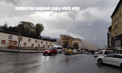 Hakkari'de sağanak yağış etkili oldu