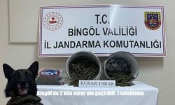 Bingöl’de 2 kilo esrar ele geçirildi: 1 tutuklama