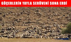 Muş'ta göçerlerin 5 aylık yayla serüveni sona erdi