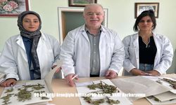 90 bin bitki örneğiyle bilimsel bir hazine: VANF Herbaryumu
