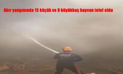 Ahır yangınında 15 küçük ve 8 büyükbaş hayvan telef oldu