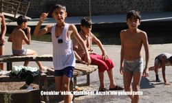 Çocuklar ’ekim’ dinlemedi, Anzele’nin yolunu tuttu