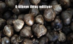Coğrafi işaretli sarımsaktan üretiliyor, 6 ülkeye ihraç ediliyor