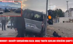 Muş’ta hızını alamayan araç, trafik ışığı direğine çarptı