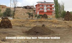Erzincanlı köylüler kışa hazır: Yakacaklar tezekten