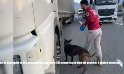 Iğdır’da kaçakçılık ve dolandırıcılık operasyonları