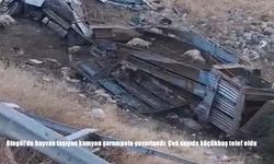 Bingöl'de hayvan taşıyan kamyon şarampole yuvarlandı: Çok sayıda küçükbaş telef oldu