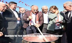 Diyarbakır’da "Kral Yolu Yürüyüşü, Bağ Bozumu ve Nar Festivali’’