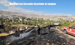 Malatya’nın Darende ilçesinde ot yangını