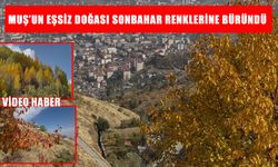 Tarih ve doğanın buluştuğu Muş'ta sonbahar