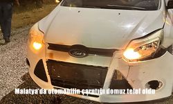 Malatya’da otomobilin çarptığı domuz telef oldu