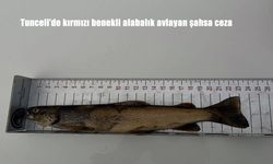 Tunceli’de kırmızı benekli alabalık avlayan şahsa ceza