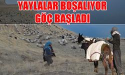 Göçerlerin yaylalardan dönüş yolculuğu sürüyor