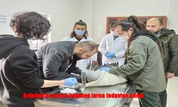 Duyarlı Vatandaşın Müdahalesiyle Turna Kuşu Kurtarıldı