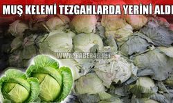 "Muş kelemi" tezgahlarda: Fiyatı cep yakıyor!