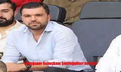 Elazığspor Asbaşkanı Mustafa Şerifoğulları’na 3 Ay Hak Mahrumiyeti ve Para Cezası