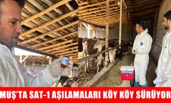 Muş’ta Sat-1 varyantına karşı aşılama çalışmaları sürüyor