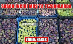 Sason inciri Muş tezgahlarında yerini aldı