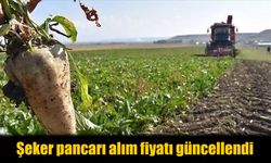 Şeker pancarı üreticilerine müjde