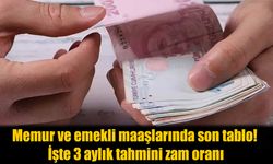 Memur ve Emeklilere Zam Hesapları: 3 Aylık Tahmini Oranlar Belli Oldu