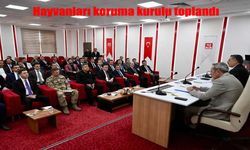 Erzurum’da Hayvanları Koruma Kurulu Toplandı: Sokak Hayvanlarına Yönelik Yeni Kararlar Alındı