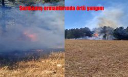 Sarıkamış’ta Orman Yangını Korkuttu: Ekipler Müdahale Etti