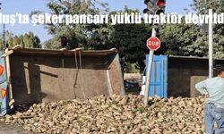 Muş’ta şeker pancarı yüklü traktör devrildi