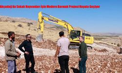 Akçadağ’da Sokak Hayvanları İçin Modern Barınak Projesi Hayata Geçiyor