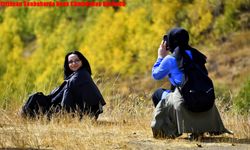 Erzincan Sonbaharda Renk Cümbüşüne Büründü
