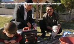 Hınıs’ta Cami İmamından Örnek Hayvanseverlik: Kedilere Bebek Gibi Bakıyor