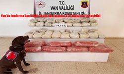 Van’da Jandarma’dan Büyük Skunk Operasyonu: 61,9 Kilogram Ele Geçirildi