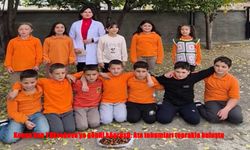 Konya’dan Yüksekova’ya Gönül Köprüsü: Ata Tohumları Cumhuriyetle Yeniden Filizleniyor