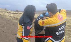 Elazığ’da Hayvan Otlatan Sürücüye Yıldırım Düştü: Hafif Yaralandı