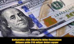 İklim Değişikliğine Uyumsuzluk, Gelişmekte Olan Ülkeleri Krize Sürüklüyor