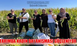 Muş’ta kadın girişimciler mısır hasadında buluştu