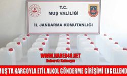 Muş'ta kargo firmasında 20 bidon etil alkol ele geçirildi
