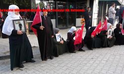 Van’da Evlat Nöbetindeki Ailelerin Umutlu Bekleyişi 109. Haftasında