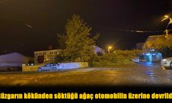 Bitlis’te Şiddetli Rüzgar Kökten Söktü, Ağaç Park Halindeki Aracın Üzerine Devrildi