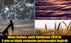 Küresel Emtia Krizi Kapıda: Fiyatlar 2026’da Dibe Vuracak