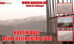 Muş’ta Kurtik Dağı karla kaplandı