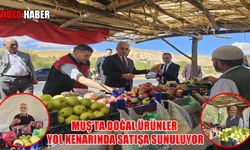 Hem doğal hem ekonomik: Muşlu köylüler tarlada yetiştirip yol kenarında satıyorlar