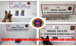 Bingöl’de Jandarma Operasyonlarında 2 Şüpheli Tutuklandı