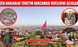Muş ve TRB2 bölgesinde hanehalkı tüketim harcamaları açıklandı
