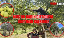 Muş’un fedakâr kadınları hayatın yükünü omuzluyor