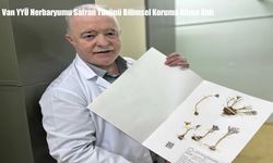 Van YYÜ Herbaryumu Safran Türünü Bilimsel Koruma Altına Aldı